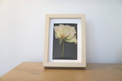 Enmarcado personalizado flor prensada