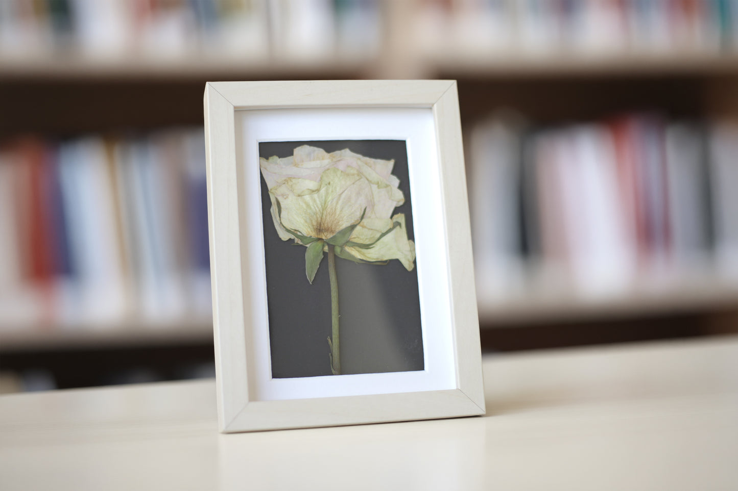 Enmarcado personalizado flor prensada