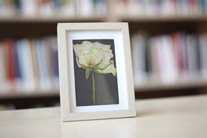Enmarcado personalizado flor prensada