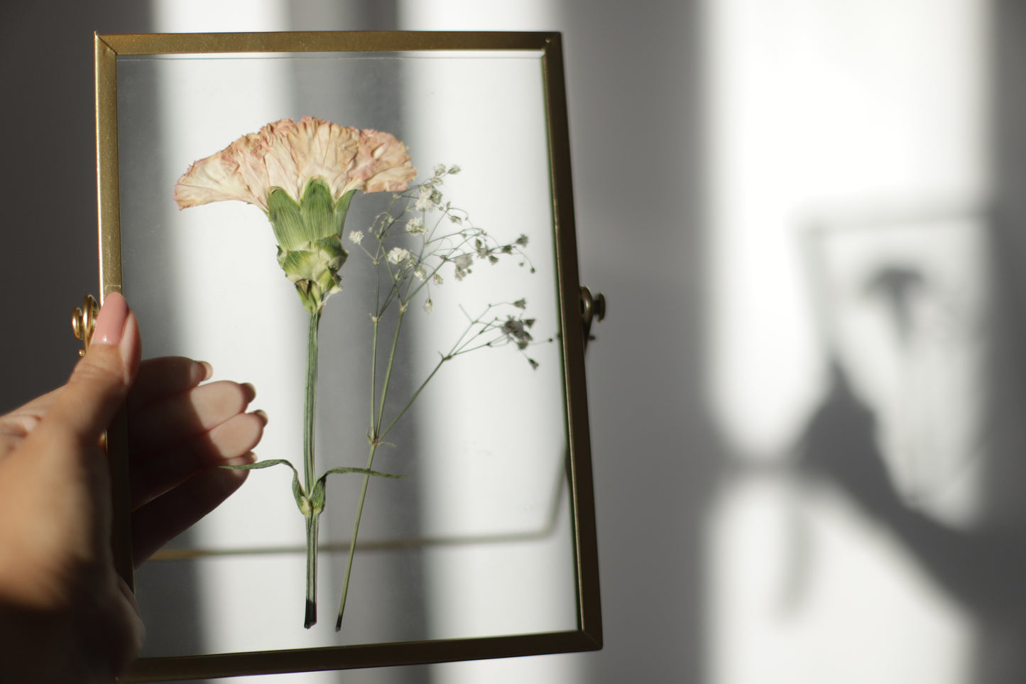 Enmarcado personalizado flores preservadas en cristal